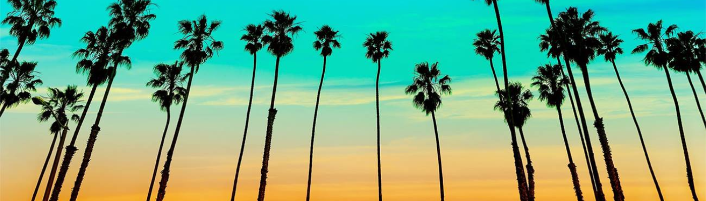 Profile banner image for michaelone