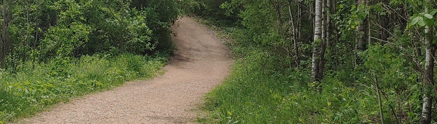 Profile banner image for raehyos