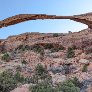 Profile avatar image for eloquence