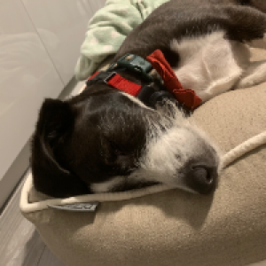 Profile avatar image for Isabellamb