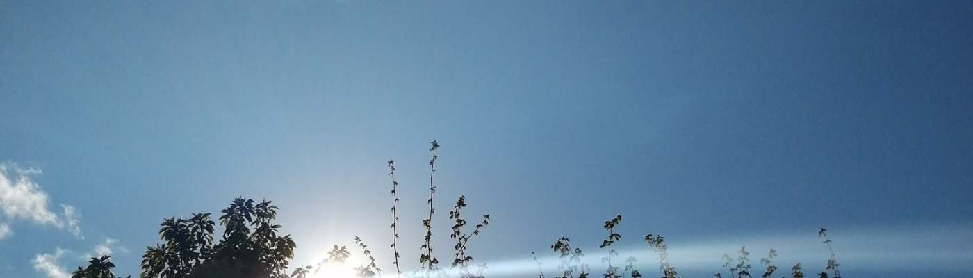 Profile banner image for WritingGale