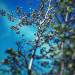 Profile avatar image for WritingGale