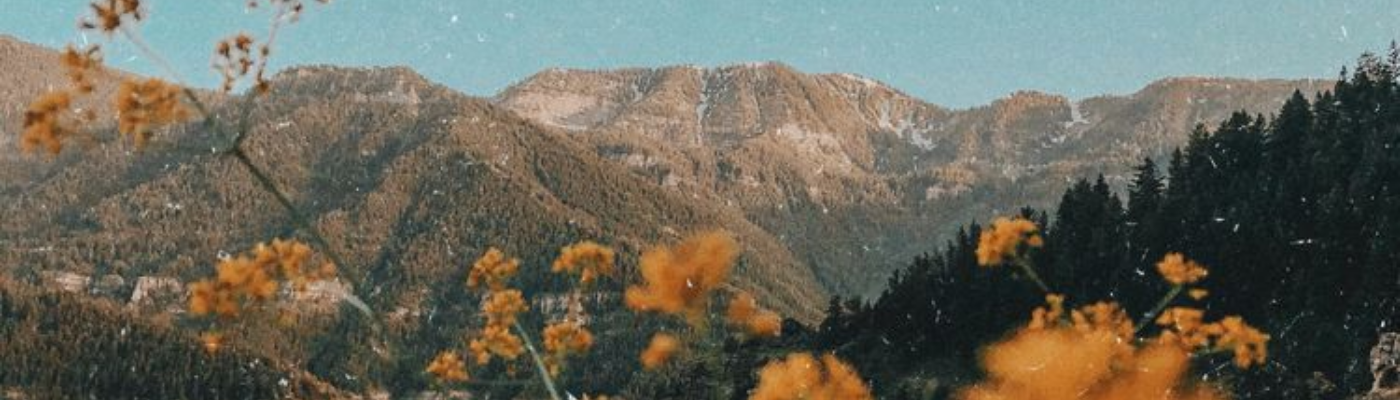 Profile banner image for therambler666