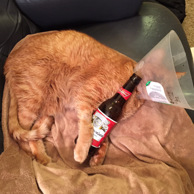 Profile avatar image for Amack2067