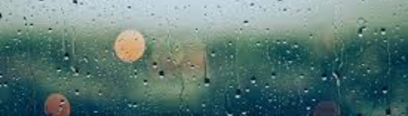 Profile banner image for WinkingFace101