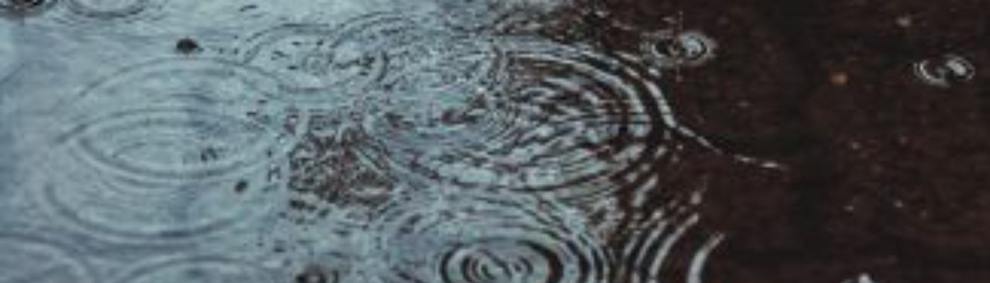 Profile banner image for zoe_eee