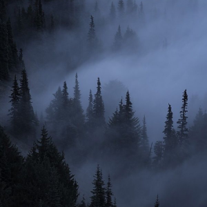 Profile avatar image for zoe_eee