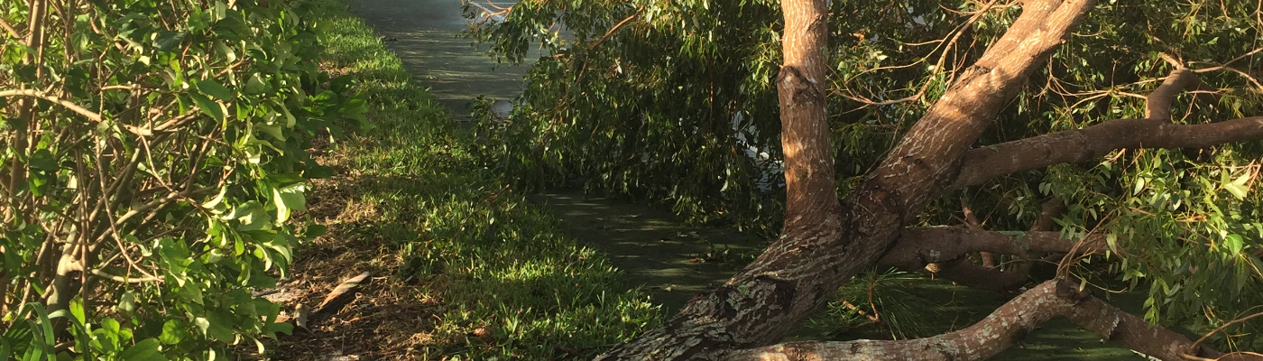 Profile banner image for alexjane