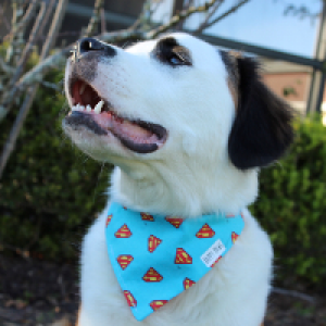 Profile avatar image for kck