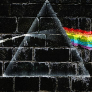 Profile avatar image for Cat_AtticusGrey