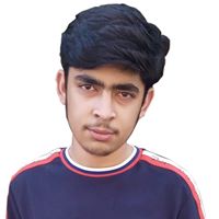 Profile avatar image for MuhammadSalman