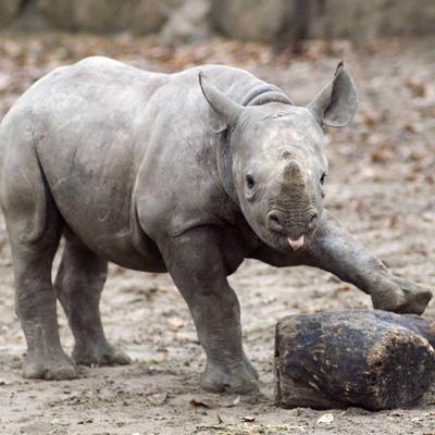 Profile avatar image for Hypergraphia