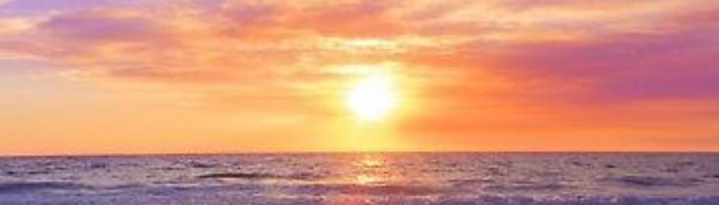 Profile banner image for WildFlower288