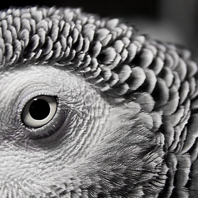 Profile avatar image for Jonubastard