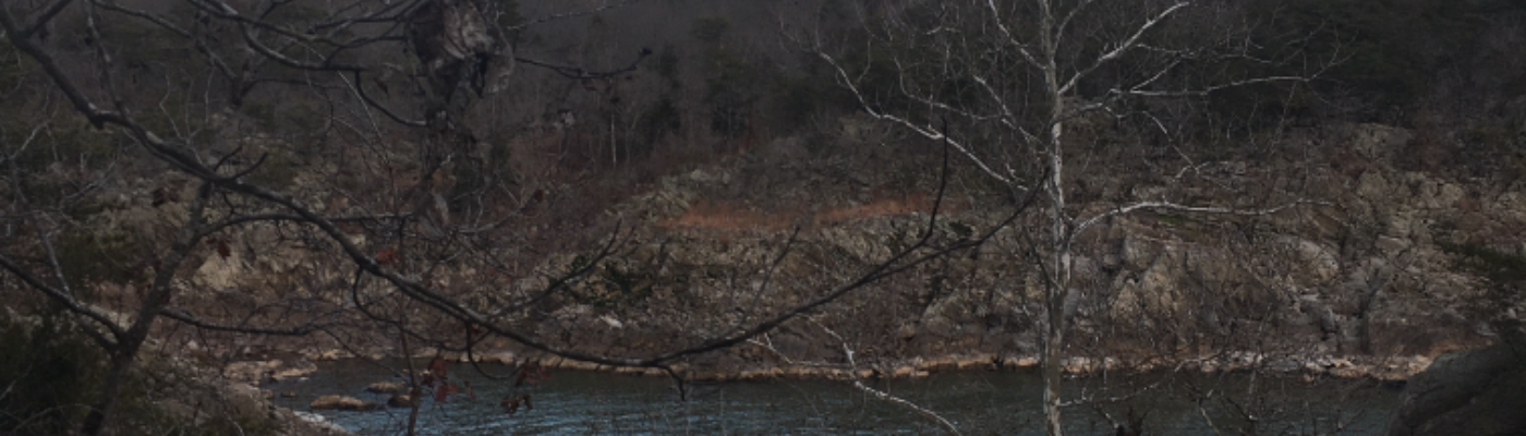 Profile banner image for AERyan