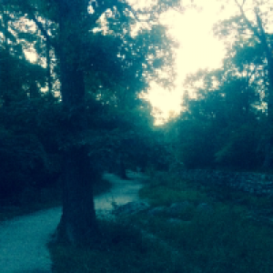 Profile avatar image for AERyan