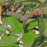 Profile avatar image for BaqaAman