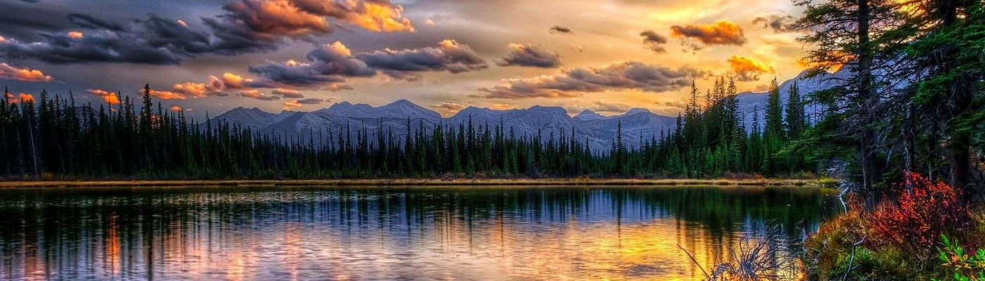 Profile banner image for OkamixSeele