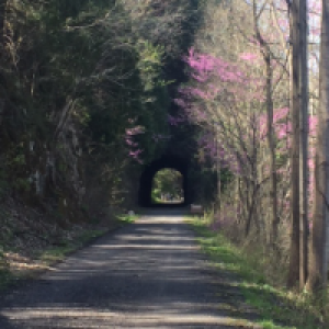 Profile avatar image for braeihle