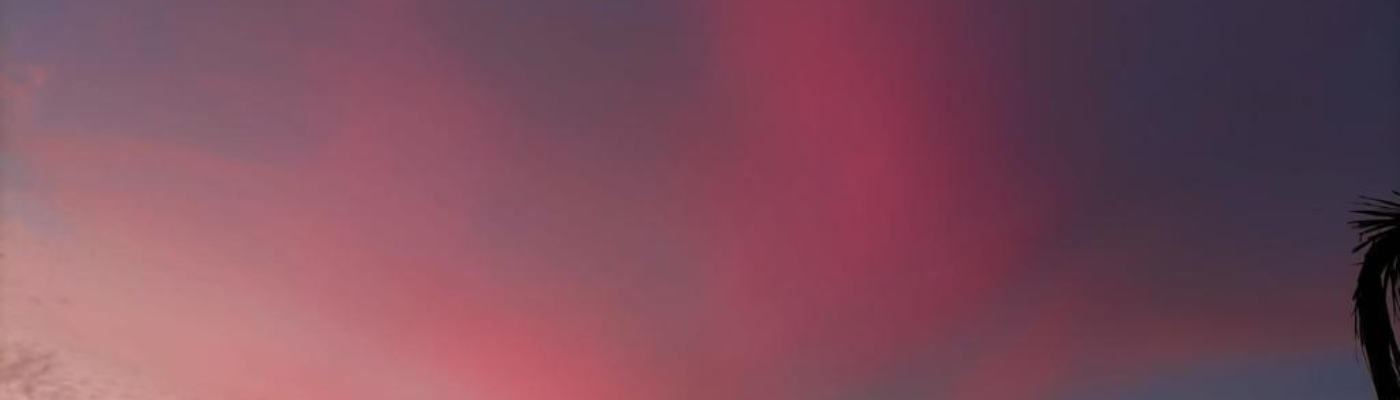 Profile banner image for NatsFiorin