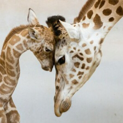 Profile avatar image for antoin