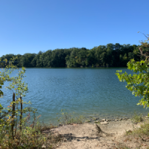 Profile avatar image for kmoss