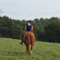 Profile avatar image for losingmymind