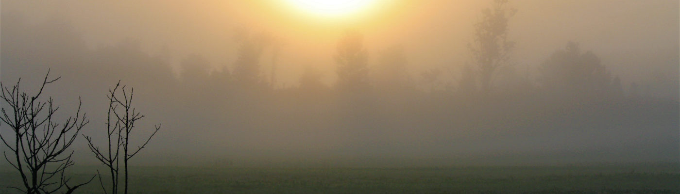 Profile banner image for BenLeoSkinner