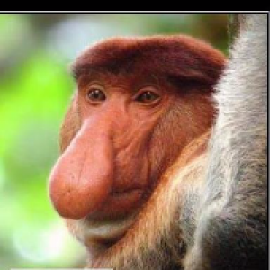 Profile avatar image for Hunch0