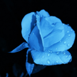 Profile avatar image for amethyst27