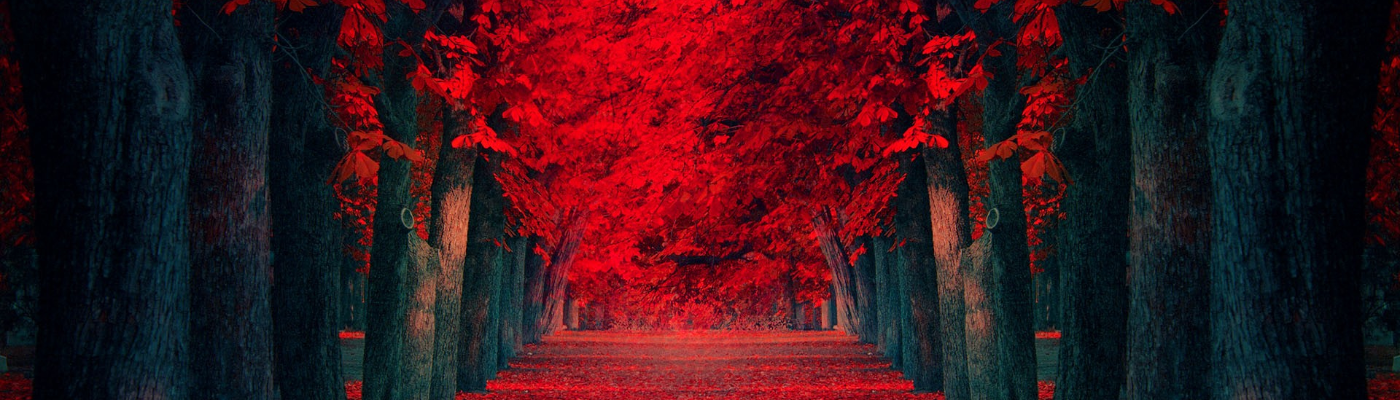 Profile banner image for StoryByRoss