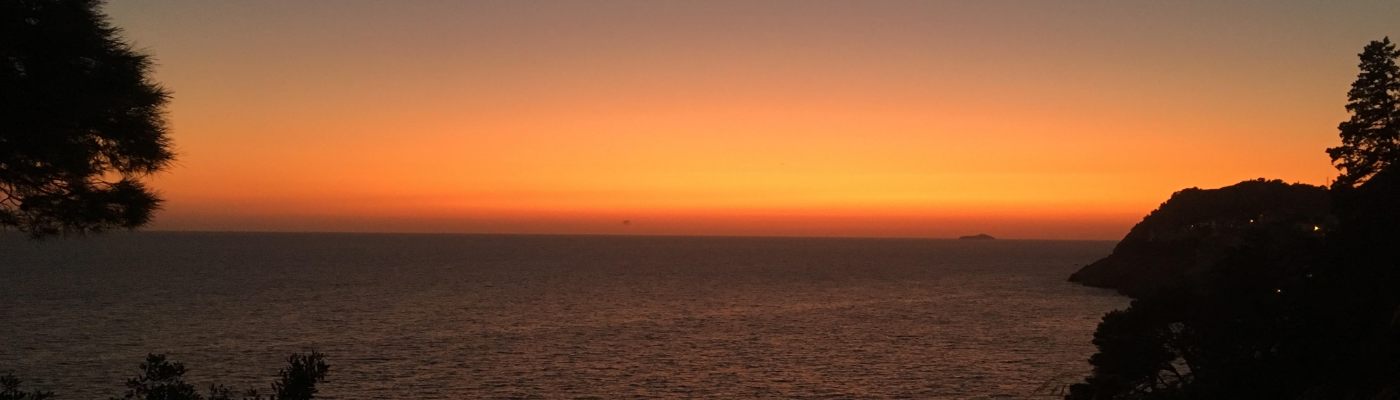 Profile banner image for BlueOwl