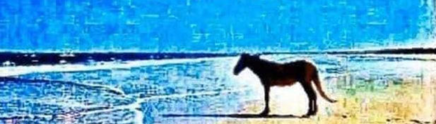 Profile banner image for MisfortuneClown