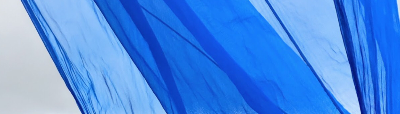 Profile banner image for megzymacaroni