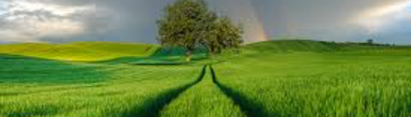 Profile banner image for AngryCow