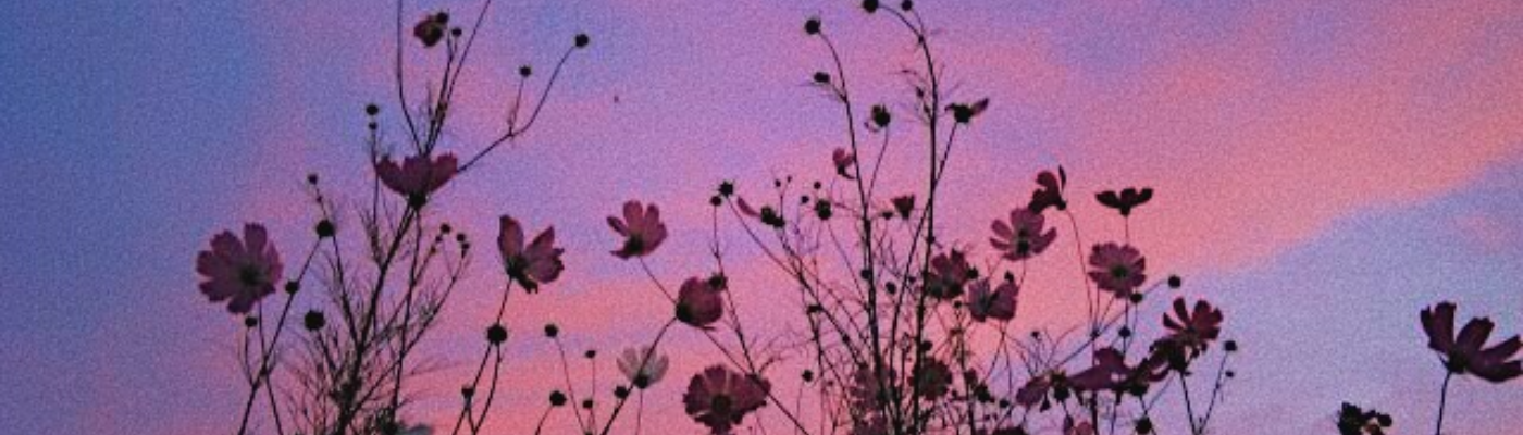 Profile banner image for mvadrix