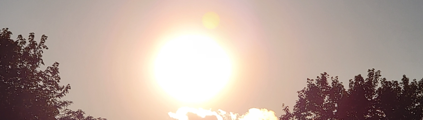 Profile banner image for Raedis