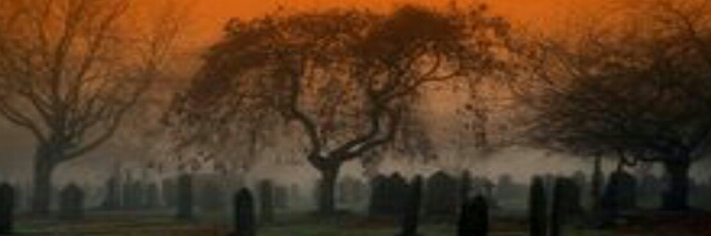 Cover image for post The Weeping Willow, by Skull