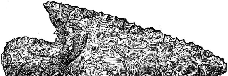 Cover image for post The Stranger in Our Land, by haileyelliott