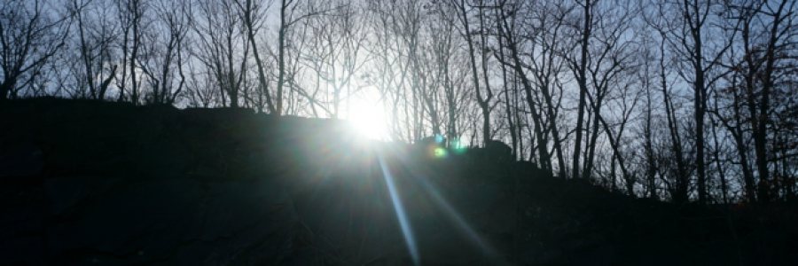 Cover image for post Running From the Wolf, by Ken_W_Writer