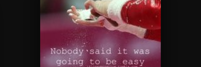 Cover image for post Believe me I'm not holding back, by Gymnastics