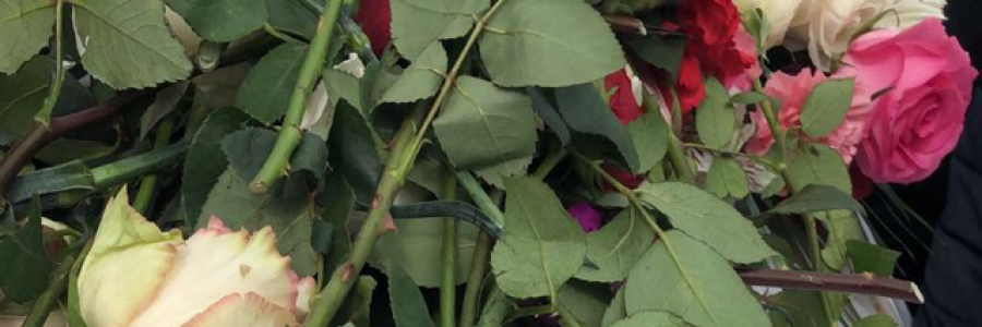Cover image for post Thinking of you, by Vlyable