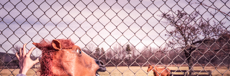 Cover image for post From Embarrassing to Sublime: How Time Heals, by coachlynn