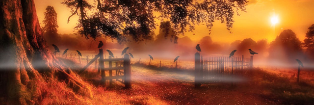 Cover image for post Sentiment ... ..., by LillyZ