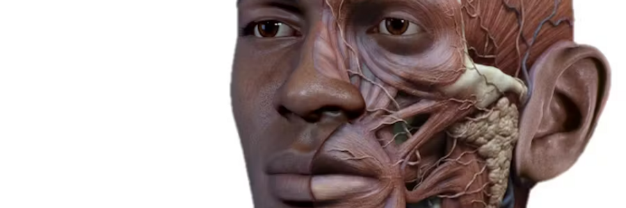 Cover image for post Gross Anatomy, by GerardDiLeo