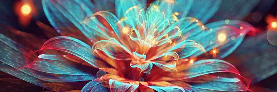 Cover image for post Fire Flower, by AndyBetz