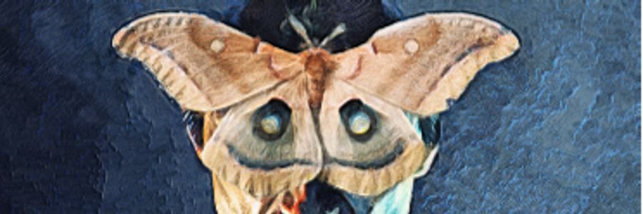 Cover image for post Well Enough, by J_M_Liles