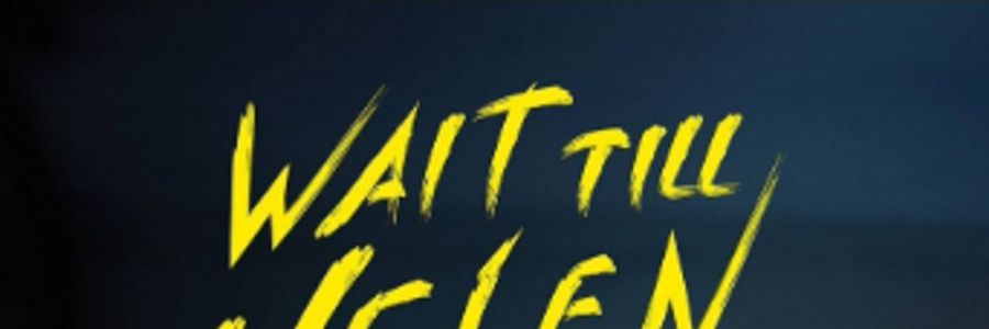 Cover image for post Wait till Helen comes, by Vyxyn