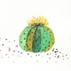 Profile avatar image for Skactus