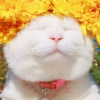 Profile avatar image for annierain